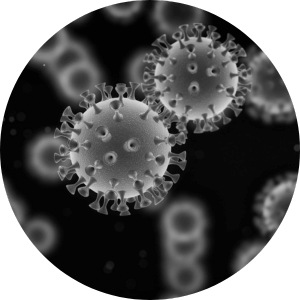 Virus particles on black background